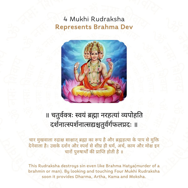 4 Mukhi Rudraksha