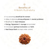 9 Mukhi Rudraksha