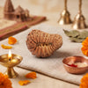 21 Mukhi Rudraksha