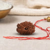 17 Mukhi Rudraksha