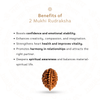 2 Mukhi Rudraksha