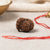 Sawar Rudraksha