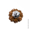Adiyogi Pendant (8 Mukhi NepaliRudraksha)