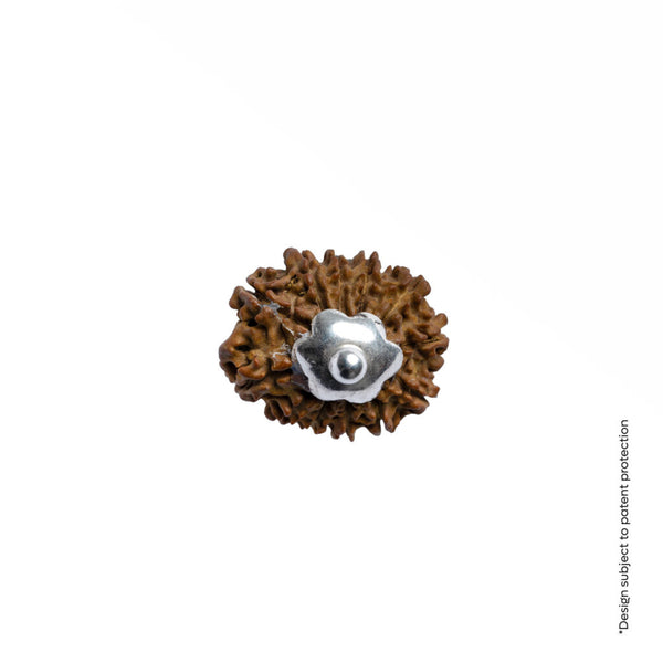 Adiyogi Pendant (12 Mukhi Nepali Rudraksha)