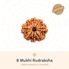 8 Mukhi Rudraksha