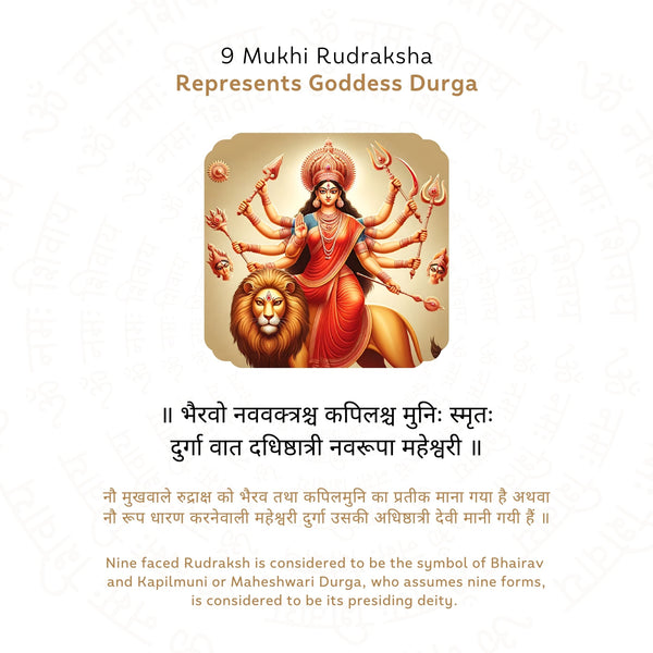 9 Mukhi Rudraksha