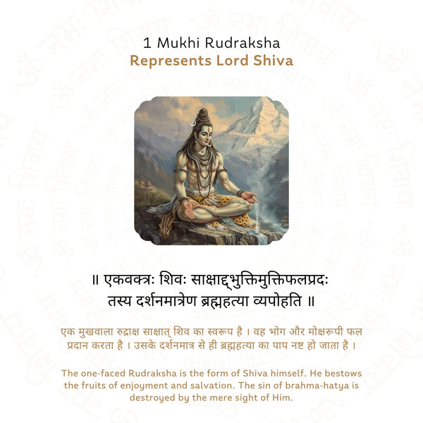 1 Mukhi Rudraksha