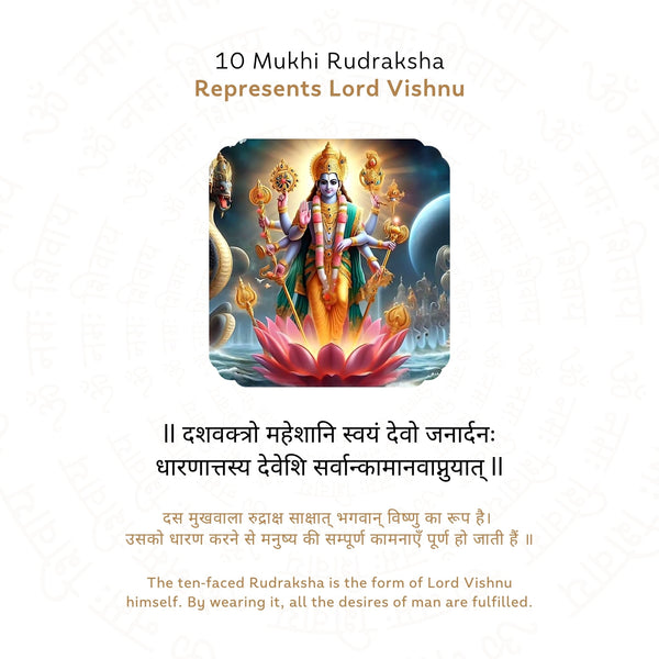 10 Mukhi Rudraksha