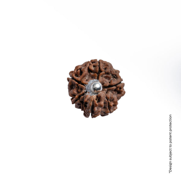 Adiyogi Pendant (Ganesh Mukhi Nepali Rudraksha)
