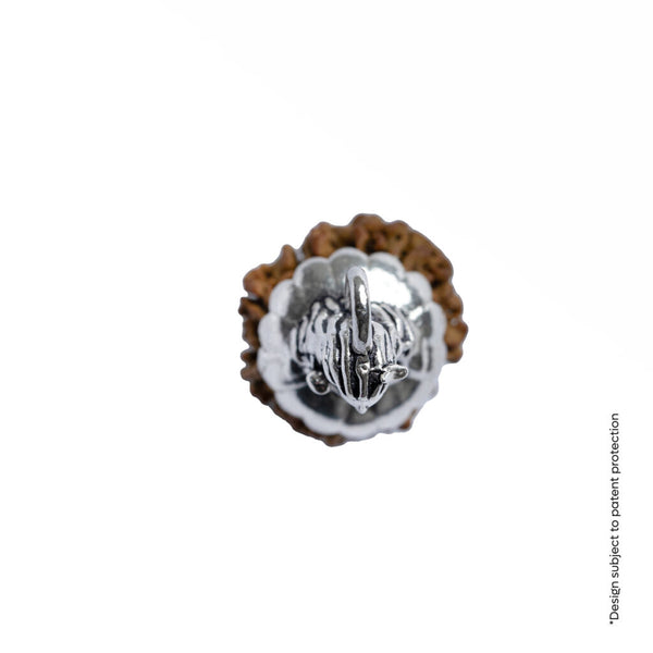 Adiyogi Pendant (9 Mukhi Nepali Rudraksha)
