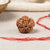 5 Mukhi Rudraksha