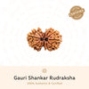 Gauri Shankar Rudraksha