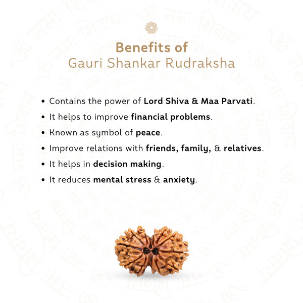 Gauri Shankar Rudraksha