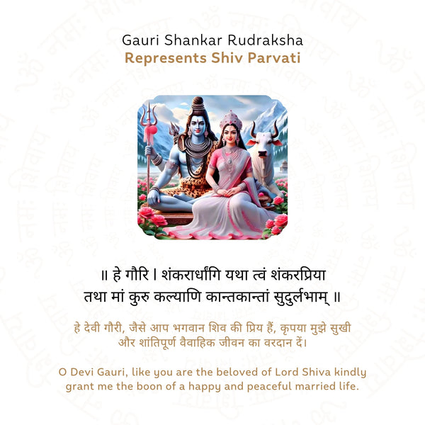 Gauri Shankar Rudraksha
