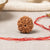 7 Mukhi Rudraksha