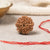 8 Mukhi Rudraksha