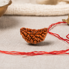 1 Mukhi Rudraksha