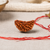 1 Mukhi Rudraksha