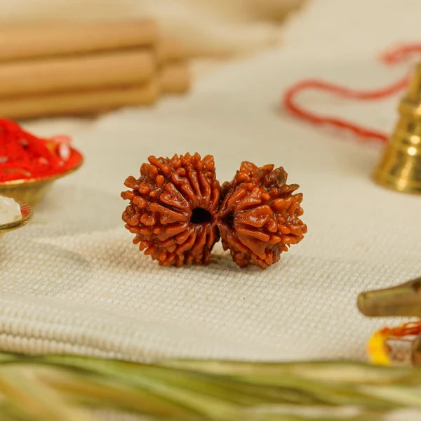 18 Mukhi Rudraksha