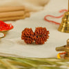 18 Mukhi Rudraksha