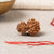 Gauri Shankar Rudraksha