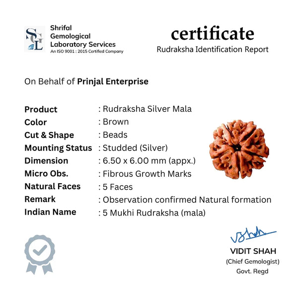 Rudraksha With Cylindrical Silver Beads Mala